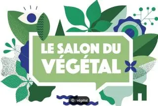 salon-végétal-godets-cellulose