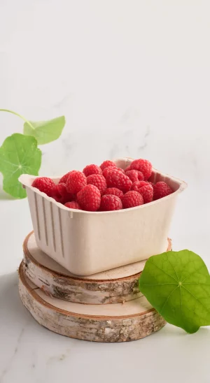 daurema-packaging-ecologique-framboises-fruits-rouges-biodegradable-recyclable